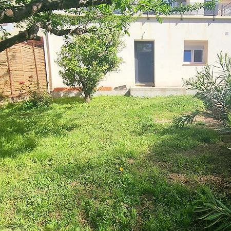 Charmant T2 Coeur De Village Avec Stationnement Banyuls-sur-Mer Exterior foto